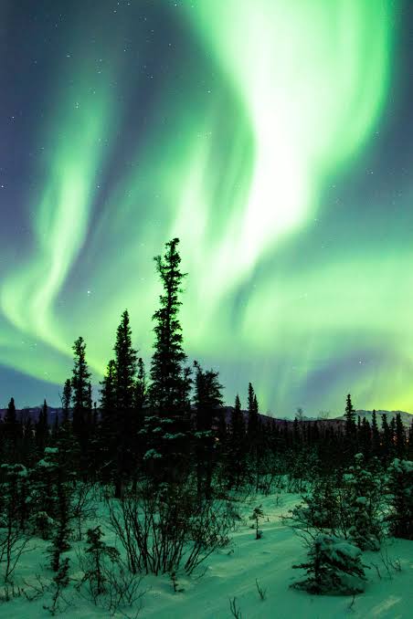 Northern Lights