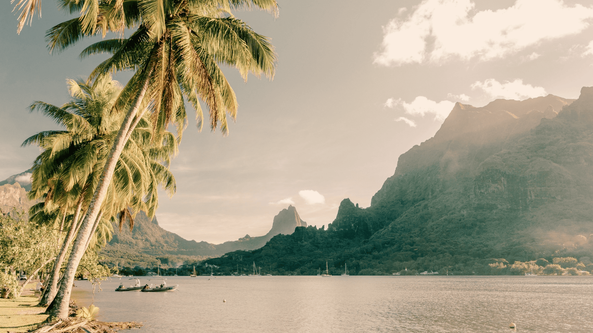 Palm-lined shoreline in Tahiti, French Polynesia, a popular gateway to the South Pacific