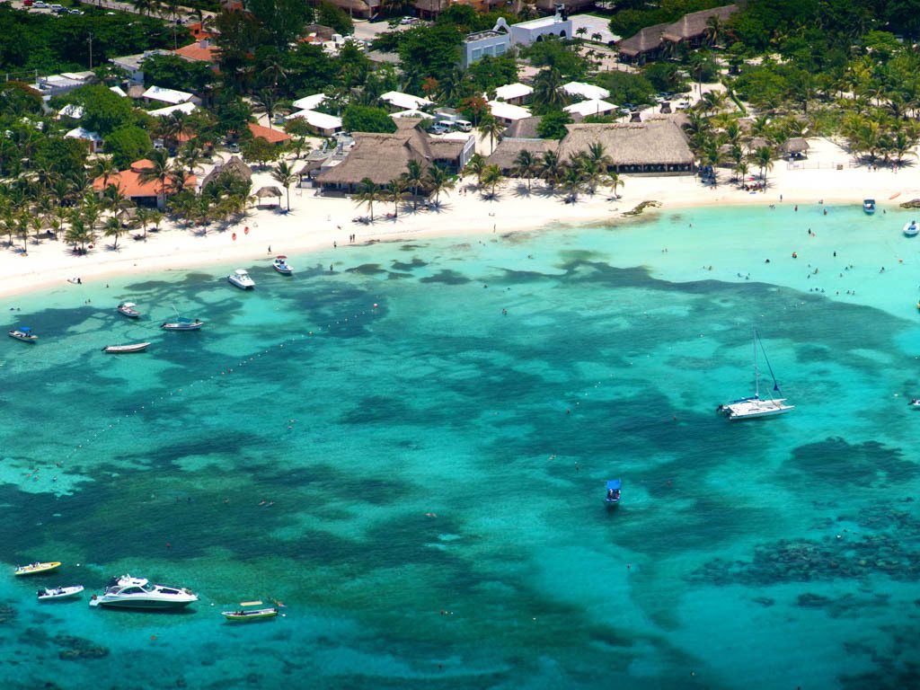 Sea turtle at Akumal Beach the Place of Turtles