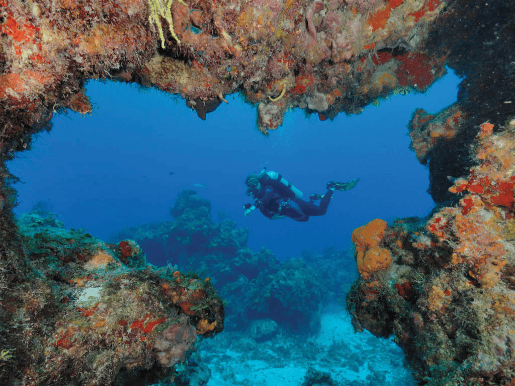 Cozumel dive site