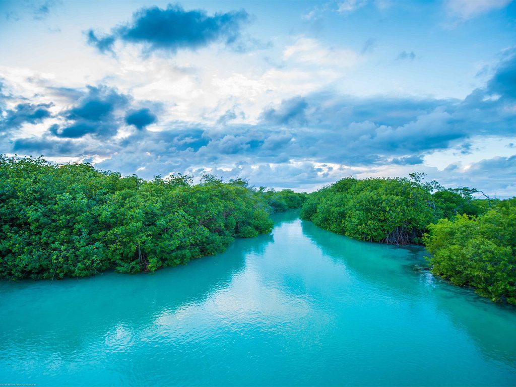 Muyil canals Maya Ka'an