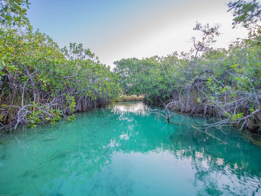 Muyil canals Maya Ka'an