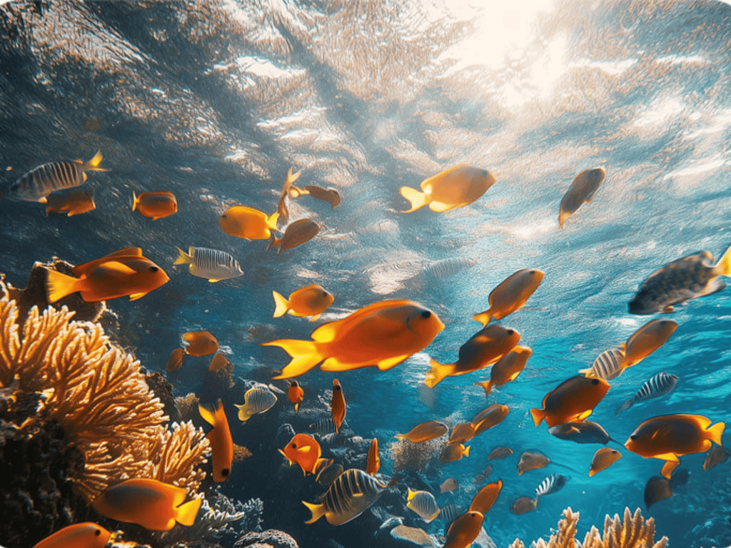 Mesoamerican Barrier Reef, the world's second-largest barrier reef, off the Mexican Caribbean coast