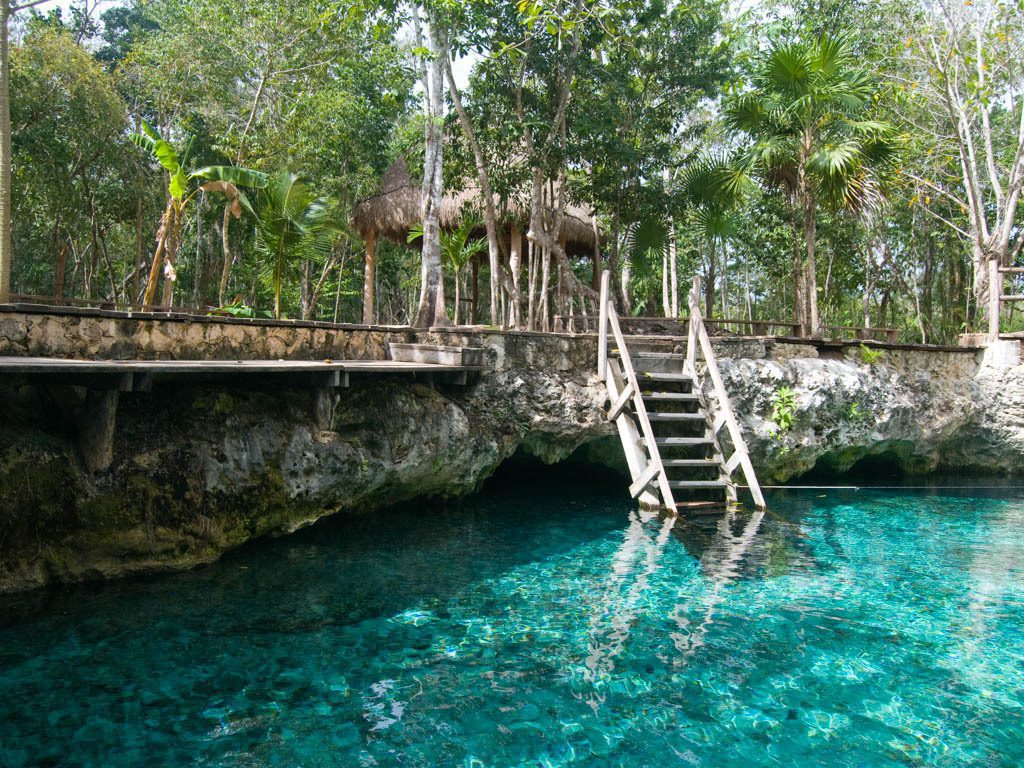 Puerto Morelos reef and marine life