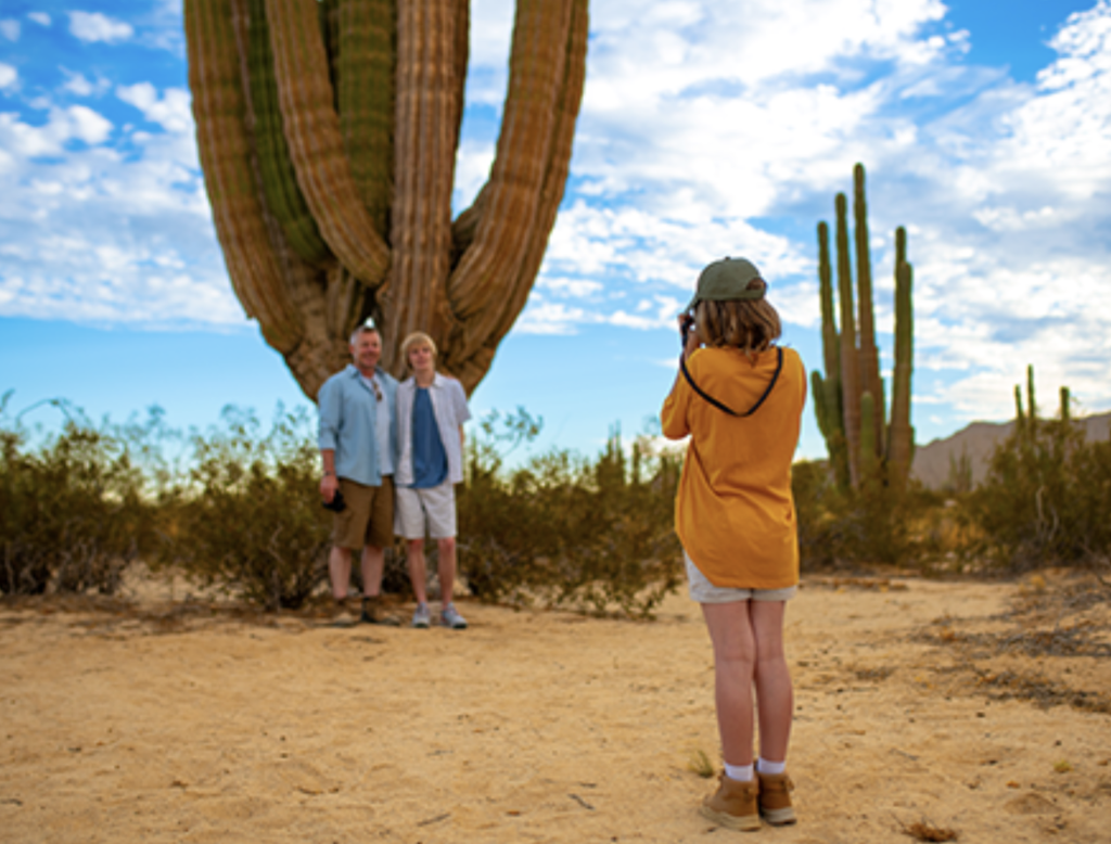 Valley of the Giants cactus.