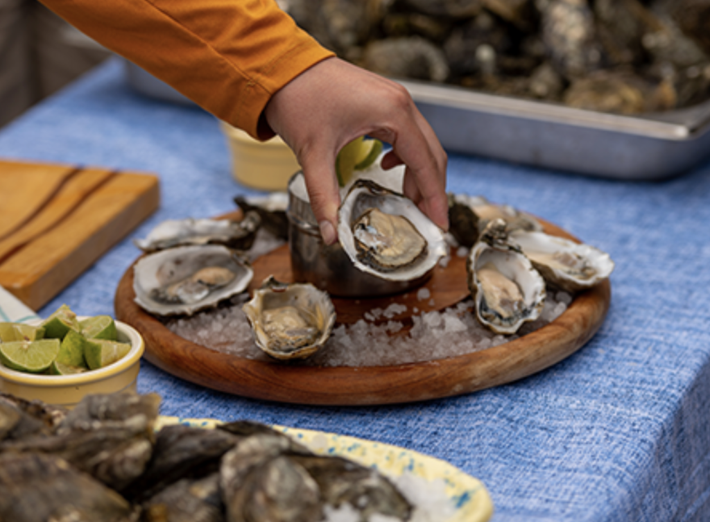 Oysters in San Quentin
