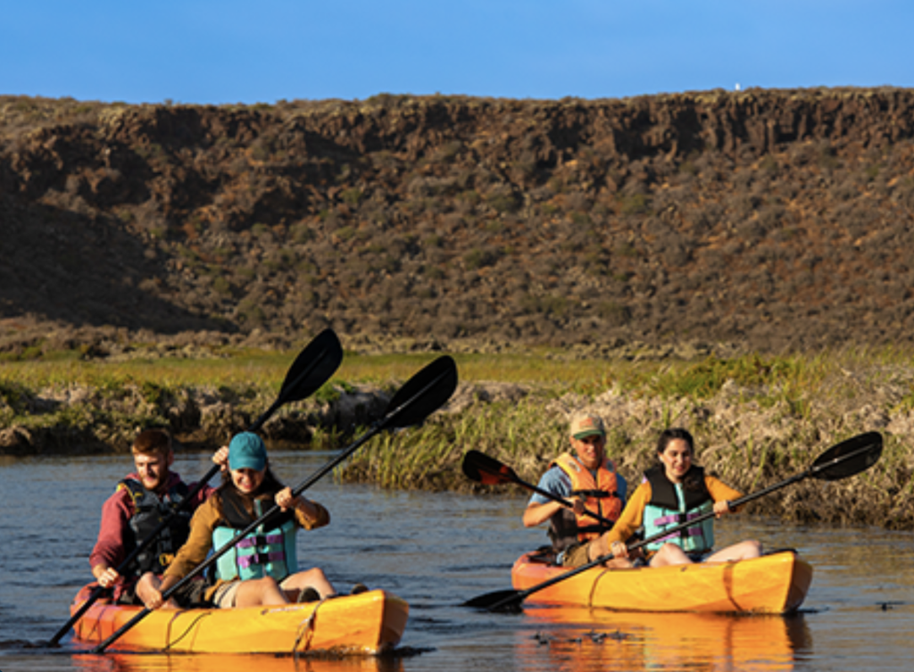 Kayaking in San Quintin wetlands.