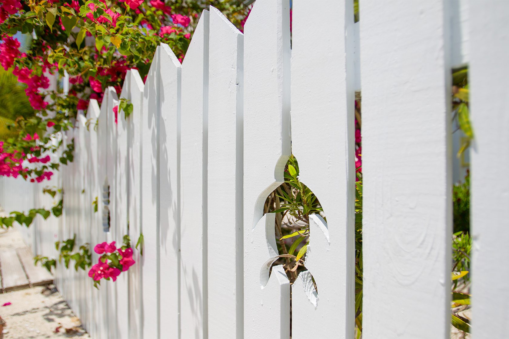 Turtle fence at Berry Islands