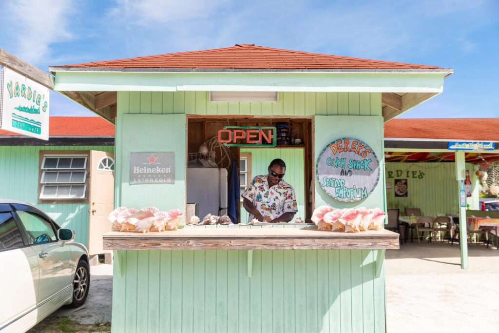 Conch Shell