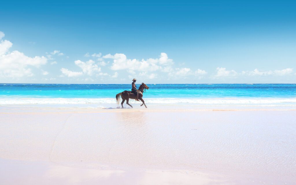 Horseback riding at pink sand beach in Eleuthera