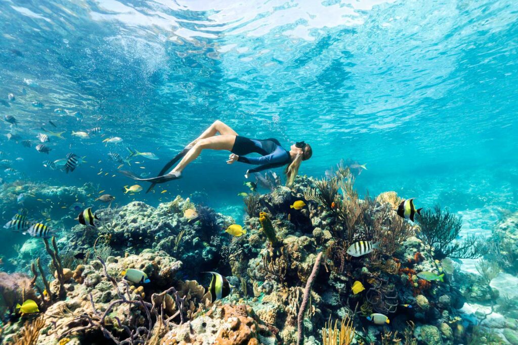 Exumas Land and Sea Park Diving
