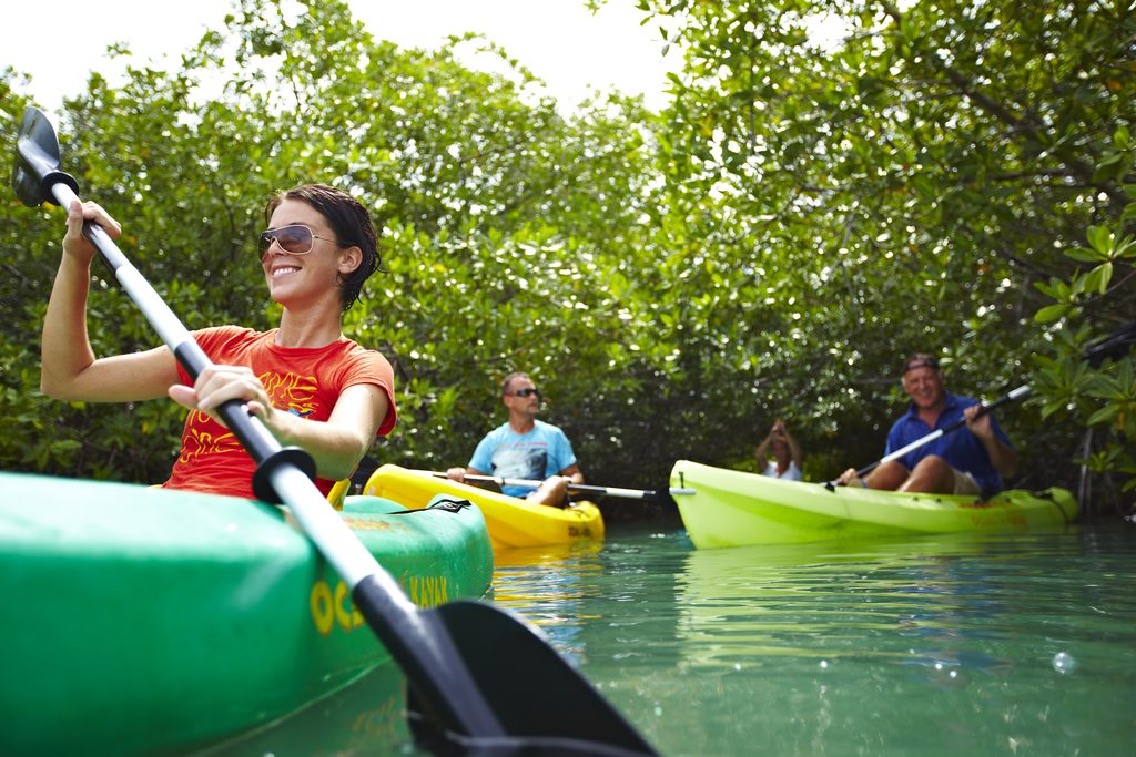 Kayaking through Mangroves