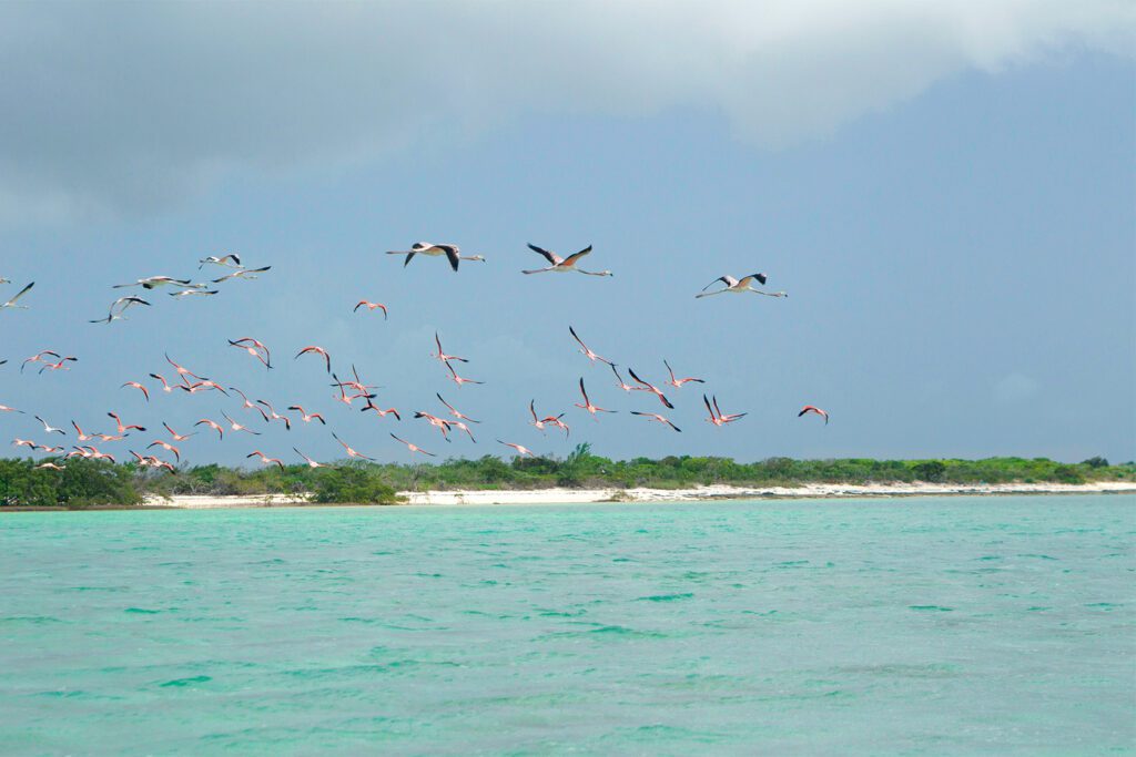 Seaside of Mayaguana