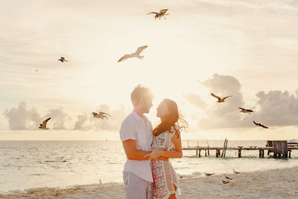 Sunset with birds on the beach