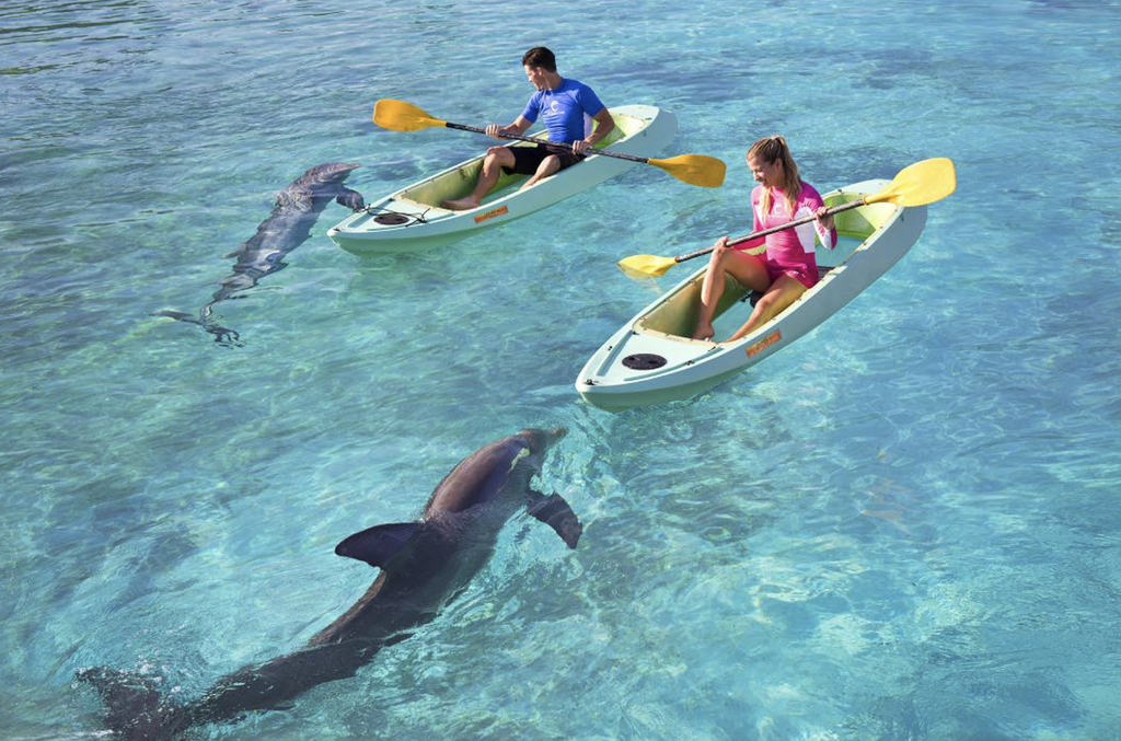 Kayaking with Dolphins at Atlantis