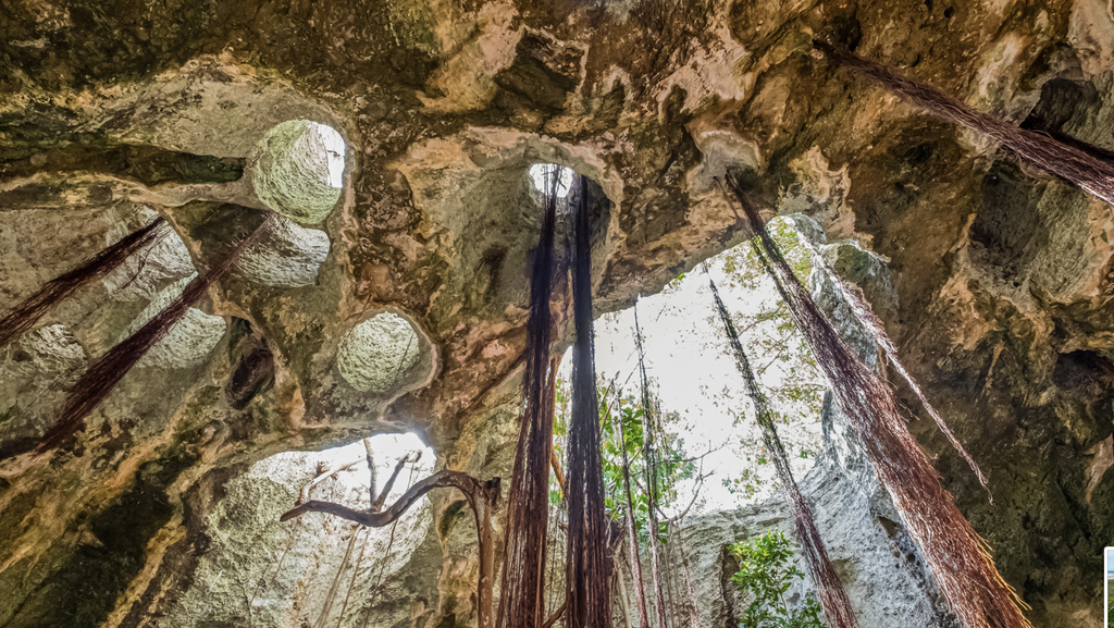 Middle Caicos nature walk