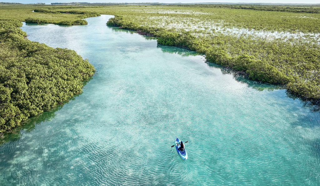 Pine Cay Kayakers